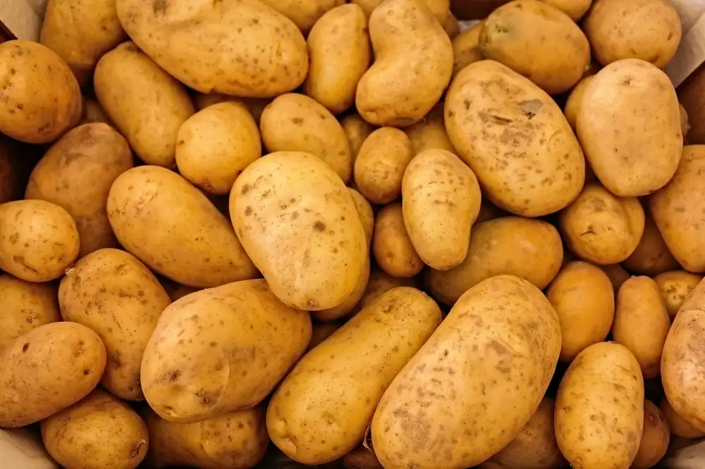 Loaded Mashed Potatoes